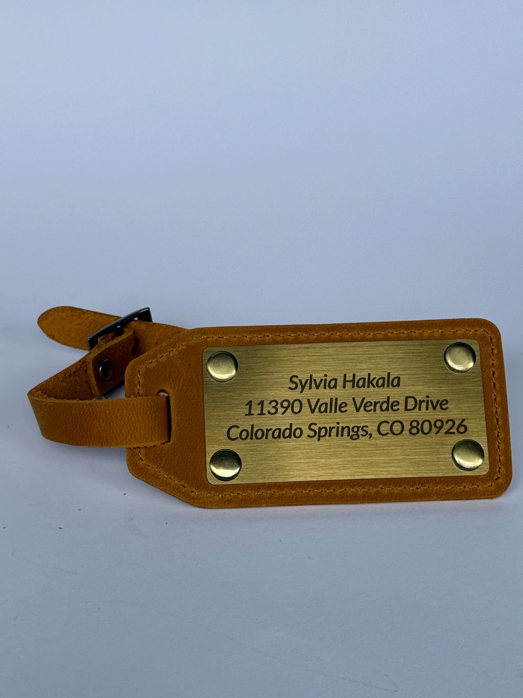 Luggage Tag, Travel Bag Identifier and Suitcase Accessory, Practical Gift for Travelers and Vacation Luggage