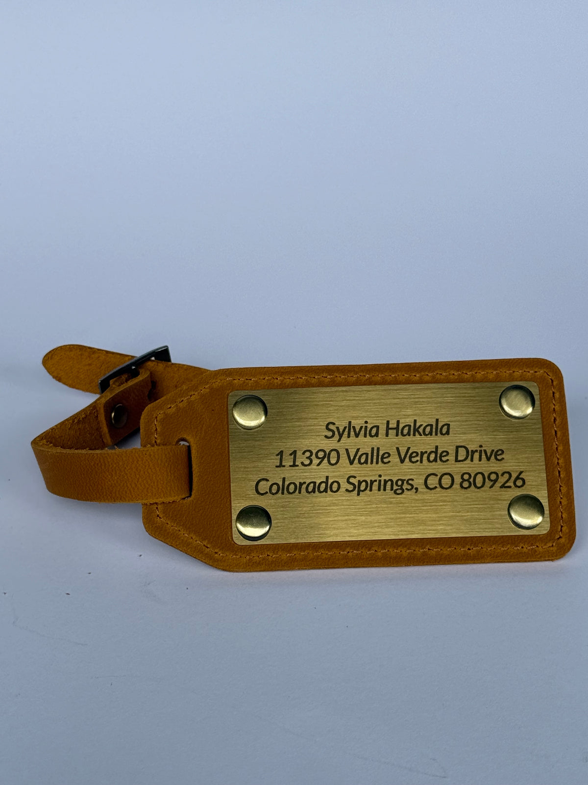 Luggage Tag, Travel Bag Identifier and Suitcase Accessory, Practical Gift for Travelers and Vacation Luggage